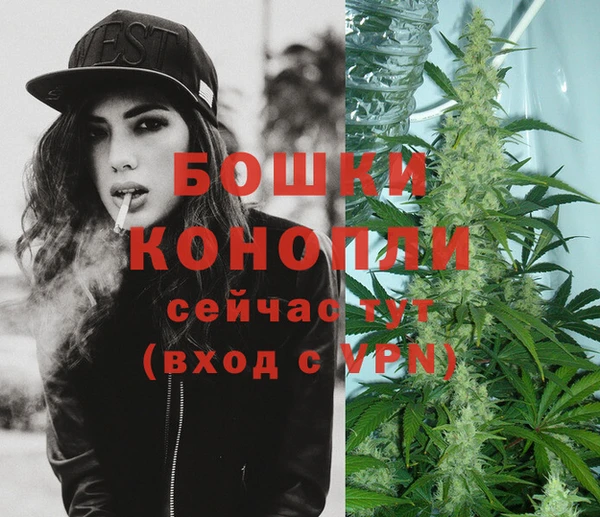 МДПВ Осинники