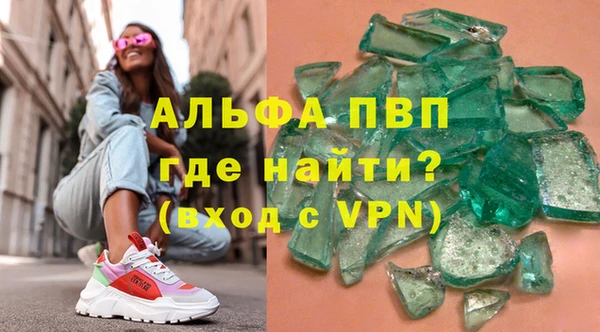 прущие грибы Осташков