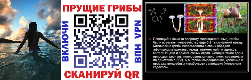 Псилоцибиновые грибы Cubensis  MEGA маркетплейс  Амурск 